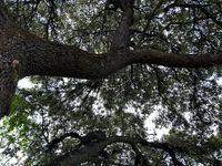 IMG_1246